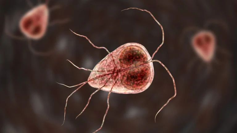 GettyImages103381143816x9